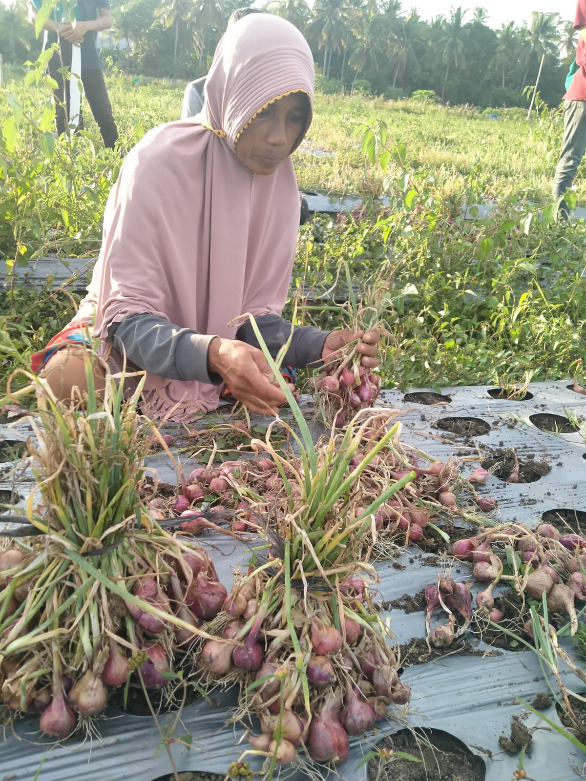fpusk 20231019 01